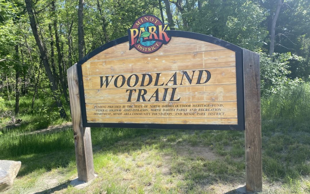 Let’s get Hiking: Woodland Trail