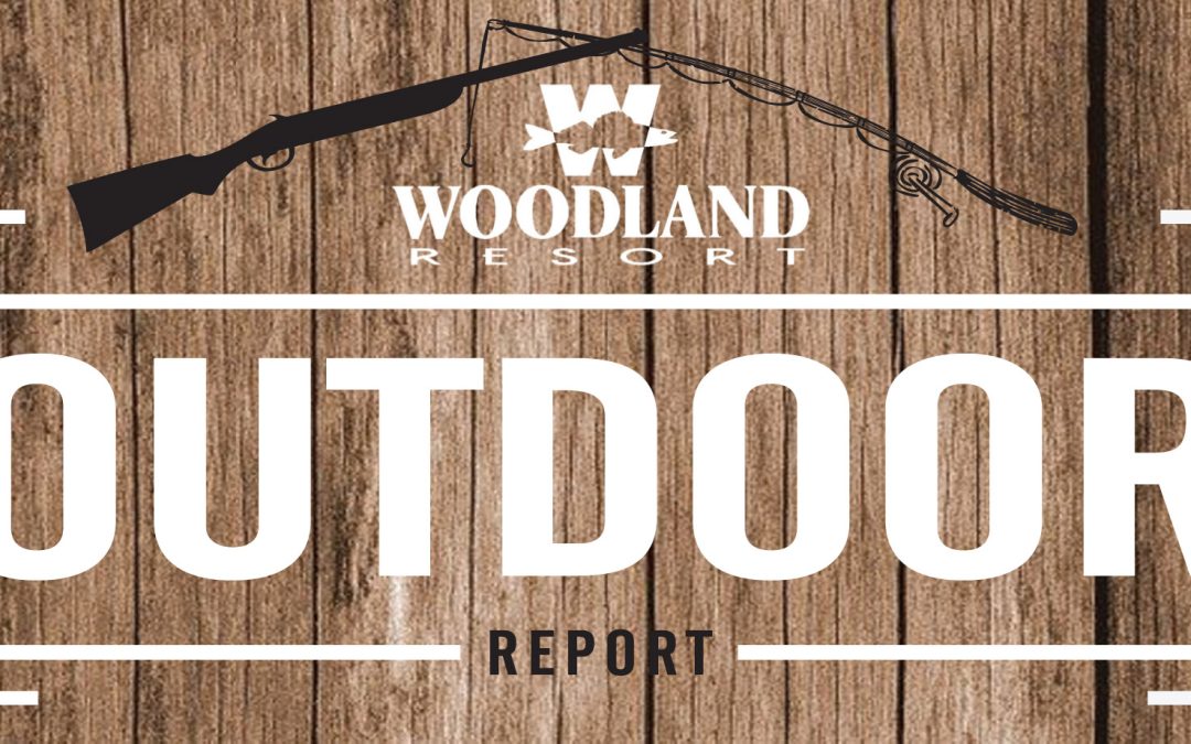 Outdoor Report May 12-May 18